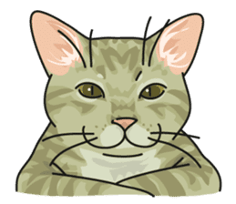 NO CAT NO LIFE Satowo cat stamp2 sticker #196182