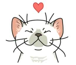 NO CAT NO LIFE Satowo cat stamp2 sticker #196187