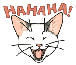 NO CAT NO LIFE Satowo cat stamp2 sticker #196190