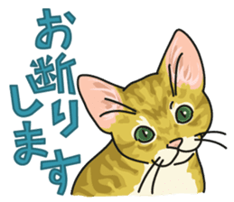 NO CAT NO LIFE Satowo cat stamp2 sticker #196191