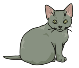 NO CAT NO LIFE Satowo cat stamp2 sticker #196195