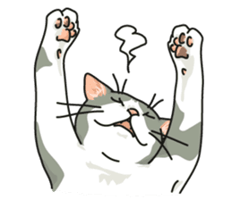 NO CAT NO LIFE Satowo cat stamp2 sticker #196200