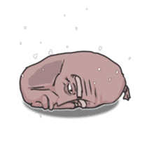 Sage&Frank sticker #200029