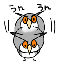 owl stamp sticker #200439