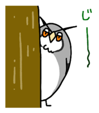 owl stamp sticker #200441