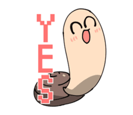 Geoduck clam And Clione sticker #201505