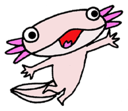 Mr.Mexico salamander sticker #201602