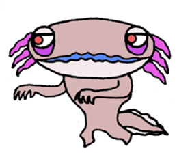 Mr.Mexico salamander sticker #201606