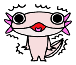 Mr.Mexico salamander sticker #201613