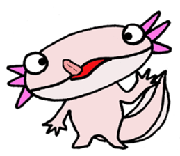 Mr.Mexico salamander sticker #201620