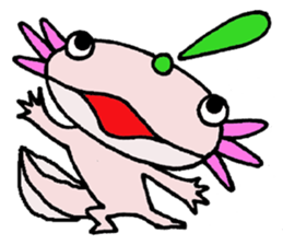 Mr.Mexico salamander sticker #201624