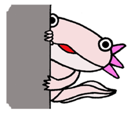 Mr.Mexico salamander sticker #201629