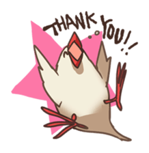 Mochi the Paddybird sticker #201750