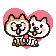 Shiba Inu in Love!