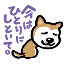 Shiba Inu in Love! sticker #202311