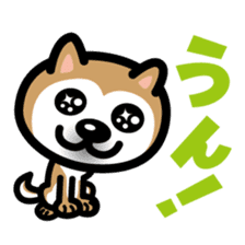 Shiba Inu in Love! sticker #202314
