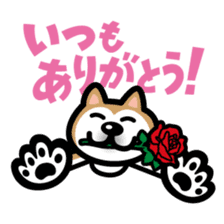 Shiba Inu in Love! sticker #202323
