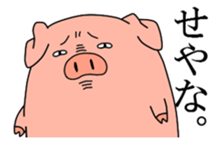 The pig sticker #202658