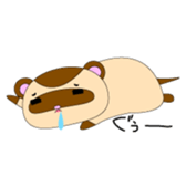 ferret sticker #203533