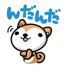 Dialect of Akita and Akita dog Roy sticker #203657