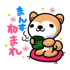 Dialect of Akita and Akita dog Roy sticker #203659