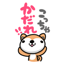 Dialect of Akita and Akita dog Roy sticker #203660