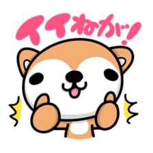Dialect of Akita and Akita dog Roy sticker #203662
