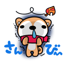 Dialect of Akita and Akita dog Roy sticker #203665