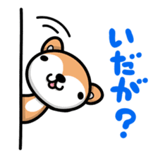Dialect of Akita and Akita dog Roy sticker #203667