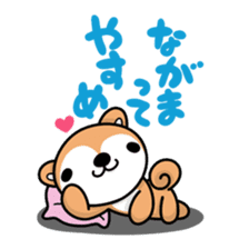 Dialect of Akita and Akita dog Roy sticker #203675