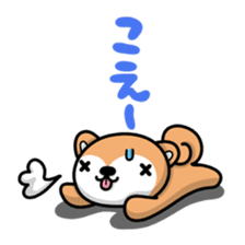 Dialect of Akita and Akita dog Roy sticker #203677