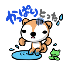 Dialect of Akita and Akita dog Roy sticker #203683