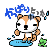 Dialect of Akita and Akita dog Roy sticker #203683