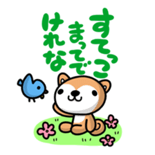 Dialect of Akita and Akita dog Roy sticker #203690