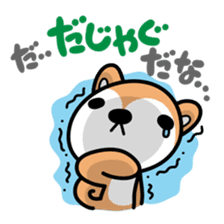 Dialect of Akita and Akita dog Roy sticker #203694