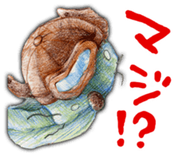 Happy seal sticker #204144