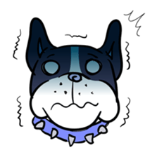 BUHI 4 LIFE pert2 frenchbulldogs Life sticker #204901