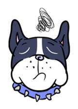 BUHI 4 LIFE pert2 frenchbulldogs Life sticker #204927