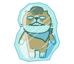 Plakem, the cat sticker #205362