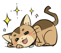 Abyssinian's hinata sticker #206310