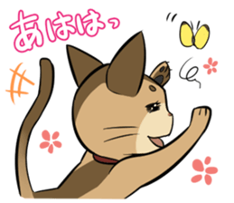 Abyssinian's hinata sticker #206328