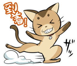 Abyssinian's hinata sticker #206335