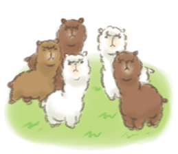 a fluffy alpaca sticker #206628