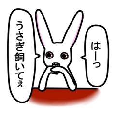 Rabbit