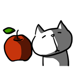 cat and apple3English sticker #209589
