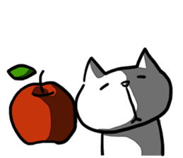 cat and apple3English sticker #209589