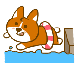Love Corgi sticker #209869