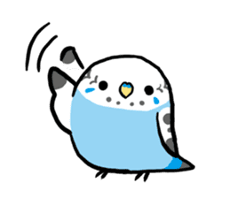 pet birds sticker #209877