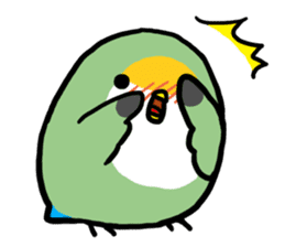 pet birds sticker #209905