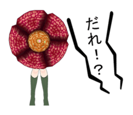 Japanese stickers "JK-Rafflesia" sticker #213423